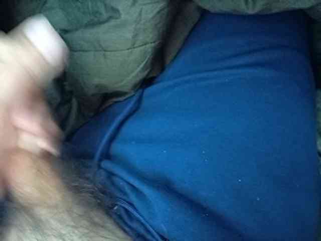 CuddleBear CuddleBear