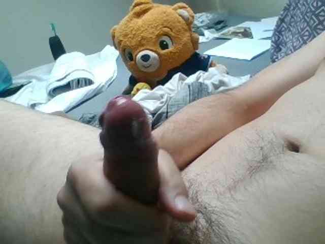 CuddleBear CuddleBear