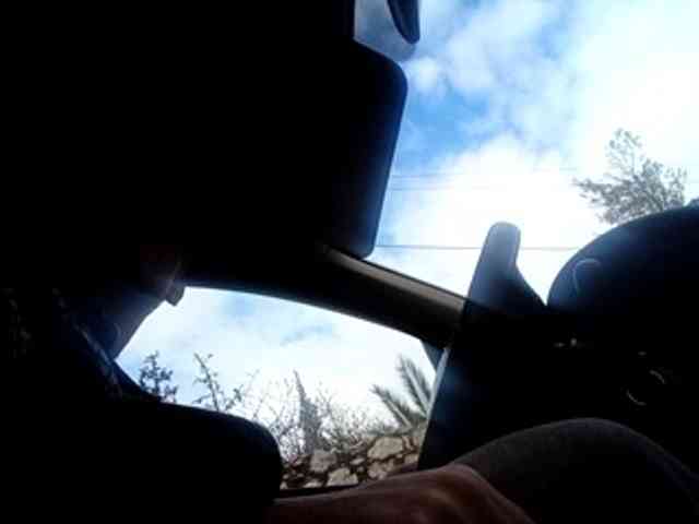 CuddleBear CuddleBear