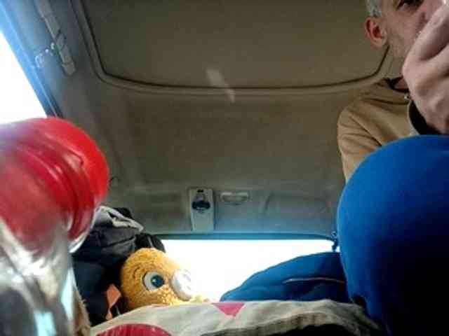 CuddleBear CuddleBear