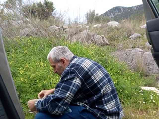 CuddleBear CuddleBear