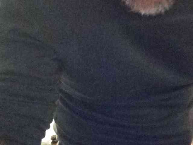 CuddleBear CuddleBear