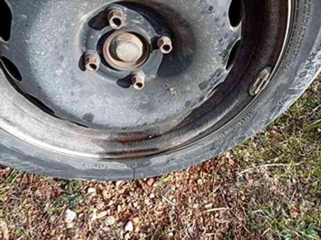 CuddleBear CuddleBear