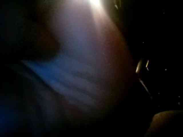 CuddleBear CuddleBear