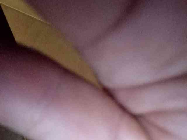 CuddleBear CuddleBear