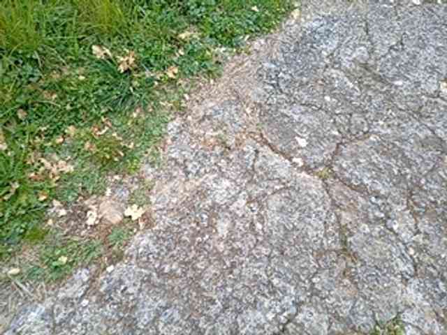 CuddleBear CuddleBear