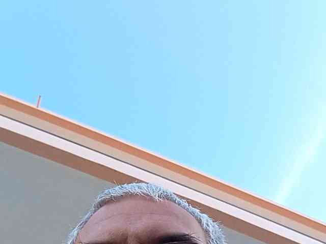 CuddleBear CuddleBear