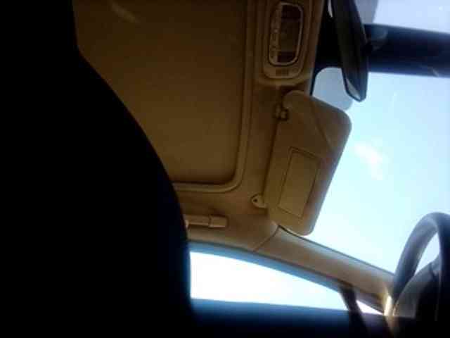 CuddleBear CuddleBear