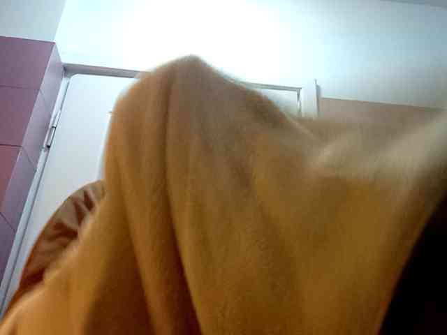 CuddleBear CuddleBear