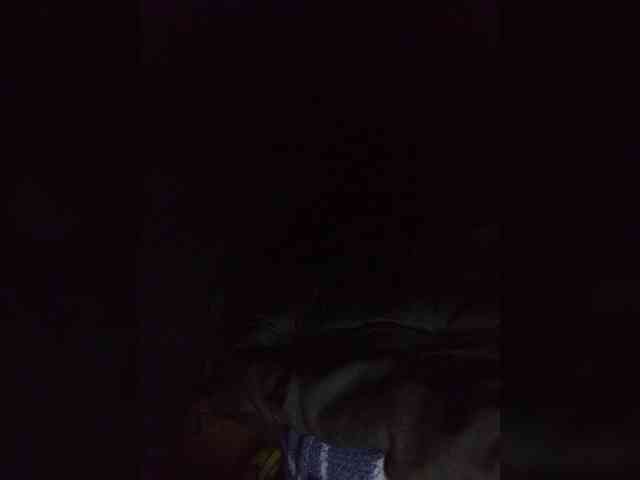 CuddleBear CuddleBear