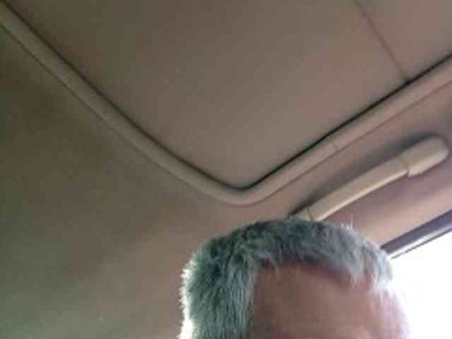 CuddleBear CuddleBear