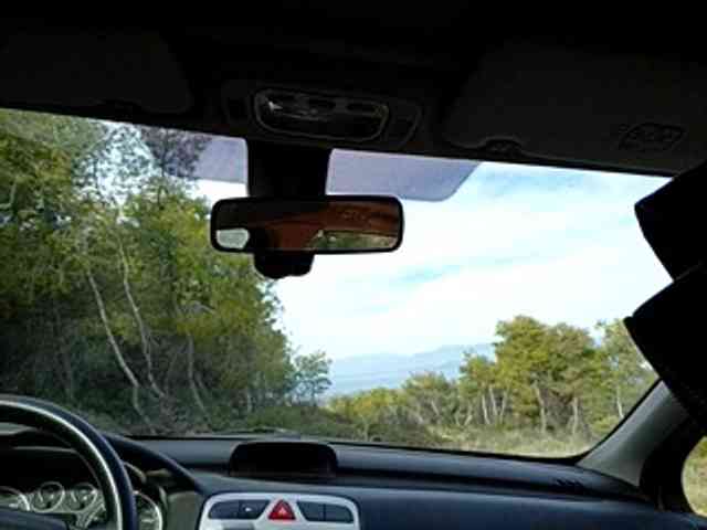 CuddleBear CuddleBear