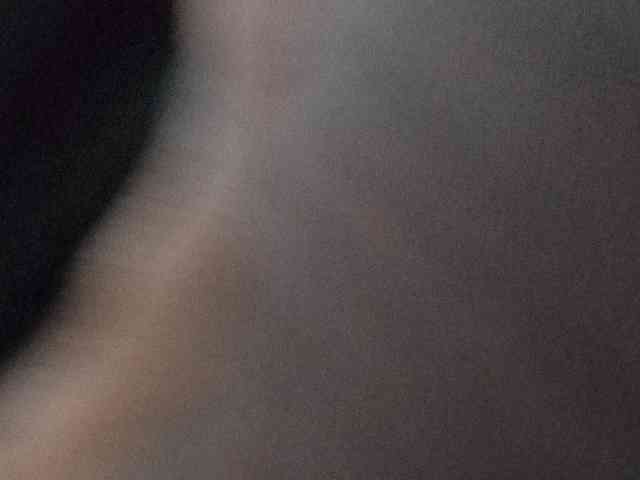 CuddleBear CuddleBear