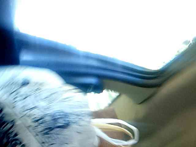 CuddleBear CuddleBear