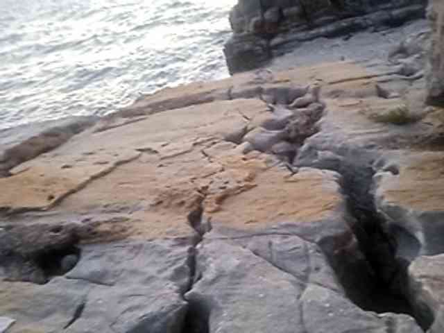 CuddleBear CuddleBear