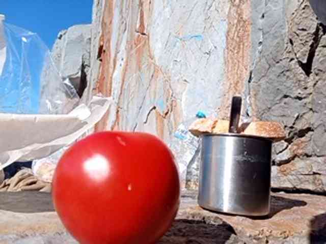 CuddleBear CuddleBear