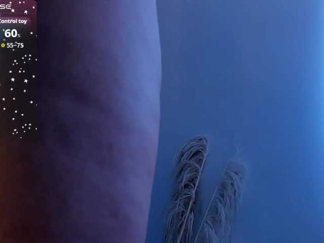 AmaiaFerrer's BongaCams show and profile