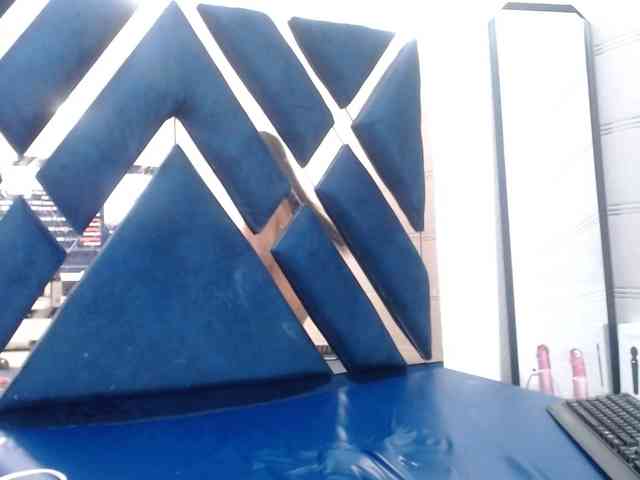 evelingjoyy webcam