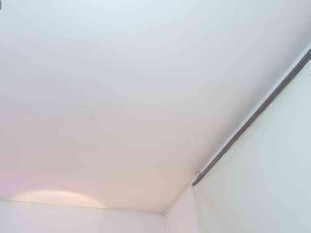 whitney-tay webcam