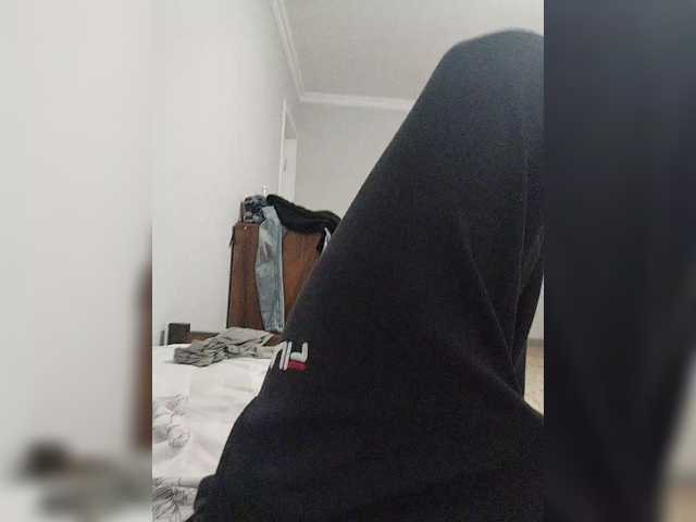Teddykot