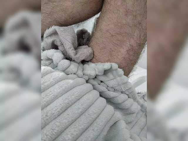 Teddykot