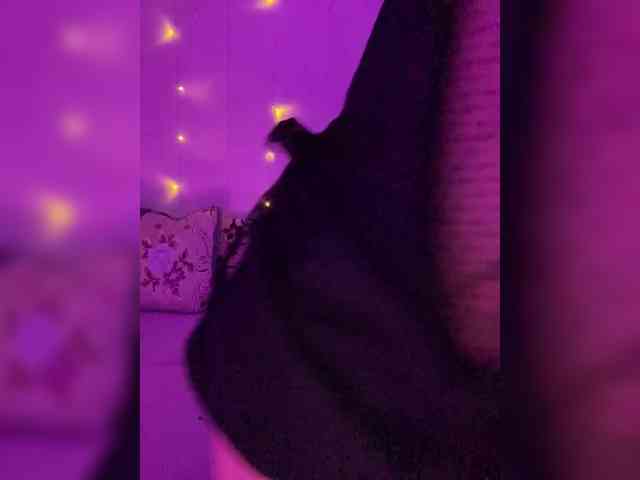 YourShlut webcam