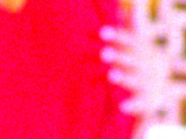 jesicacox webcam