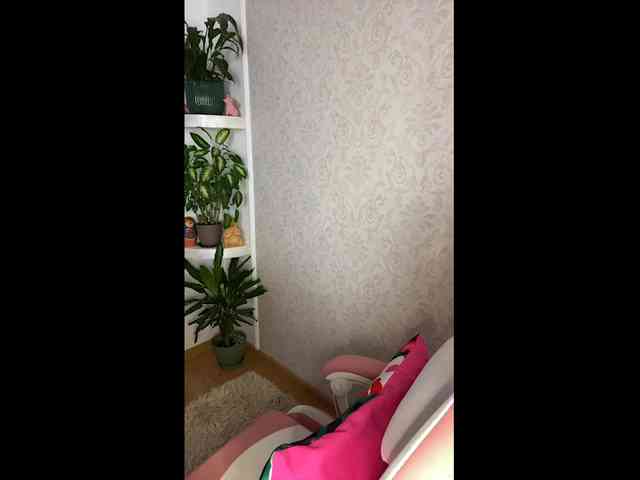 Zenaidasasha webcam
