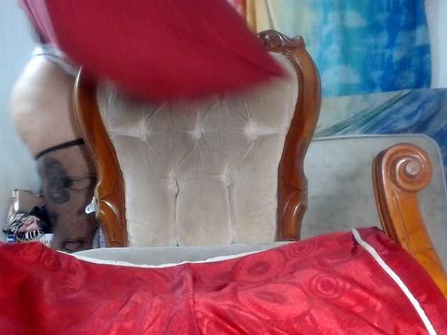 Preview of camelialong