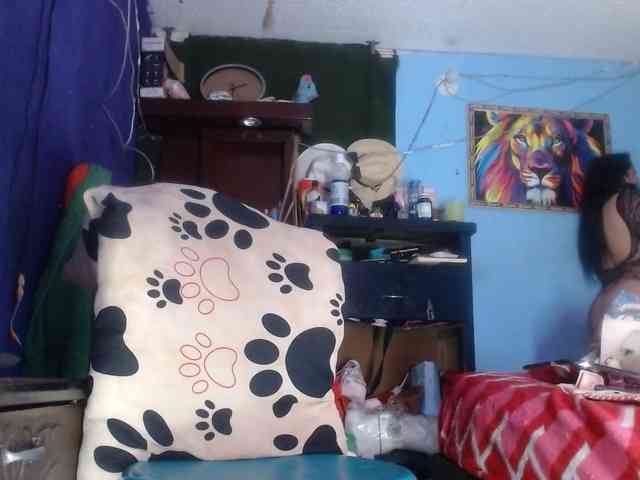 CameliaLong webcam