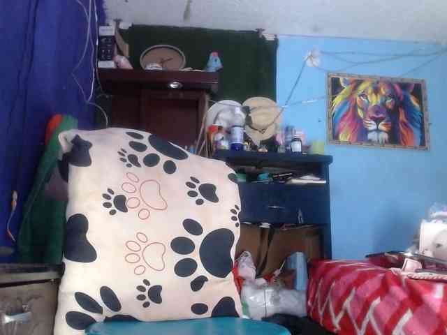 CameliaLong webcam