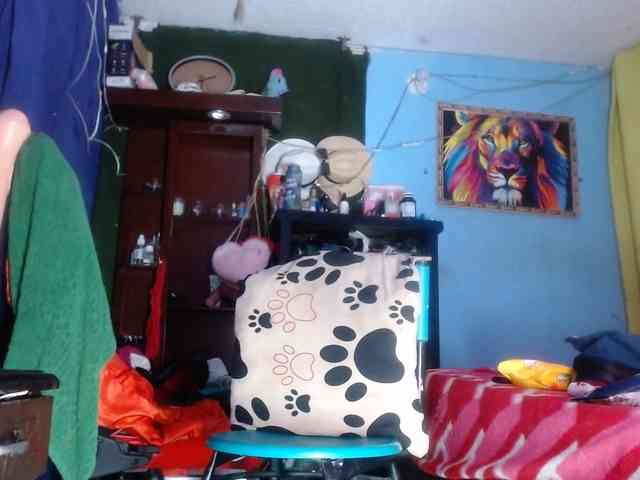 CameliaLong webcam