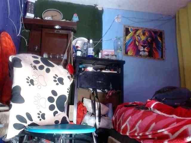 CameliaLong webcam