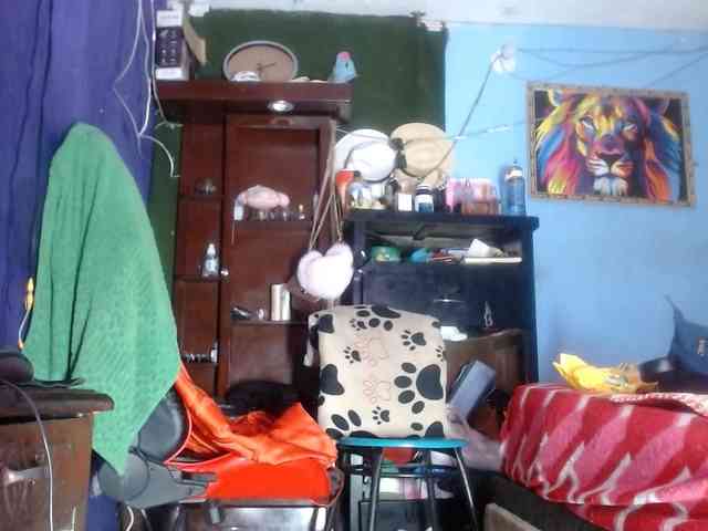 CameliaLong webcam