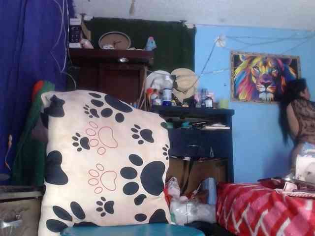 CameliaLong webcam