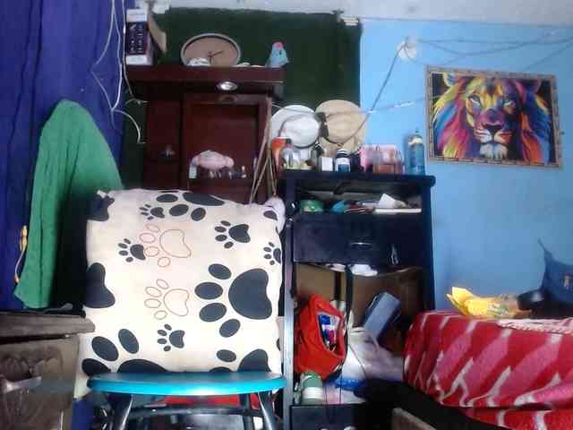 CameliaLong webcam