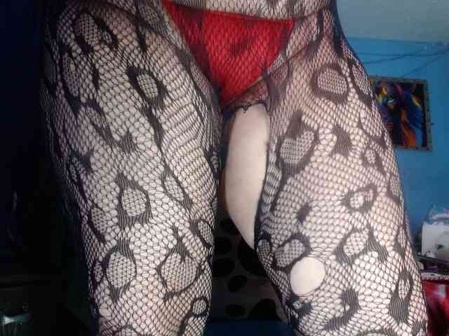CameliaLong webcam