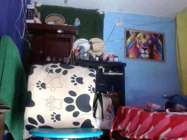 CameliaLong webcam
