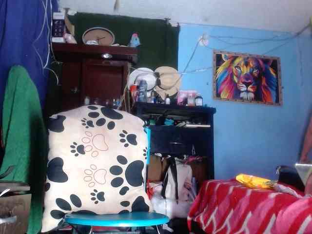 CameliaLong webcam