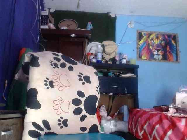 CameliaLong webcam