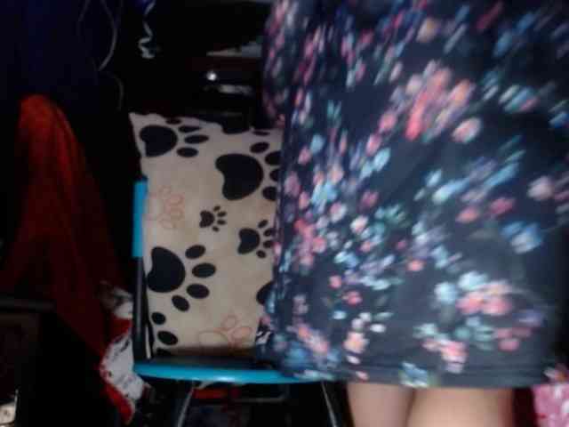CameliaLong webcam