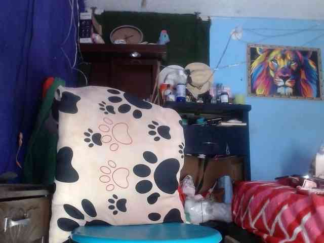 CameliaLong webcam