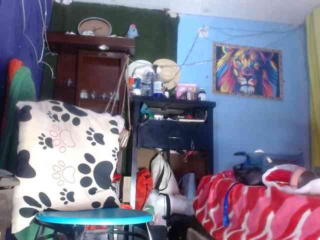CameliaLong webcam