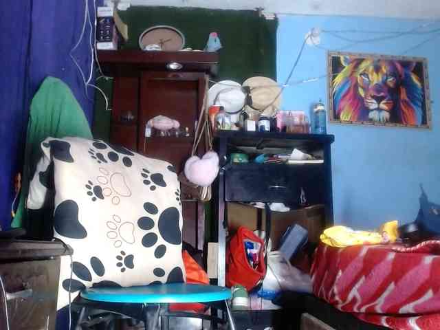 CameliaLong webcam