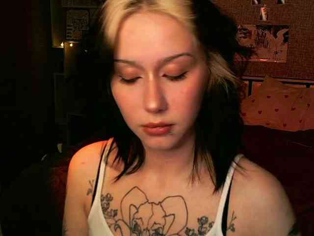 velvetsunrise webcam