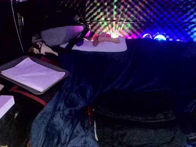 Fantasyca's BongaCams show and profile