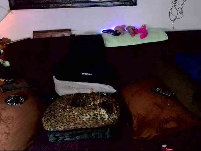 Fantasyca webcam