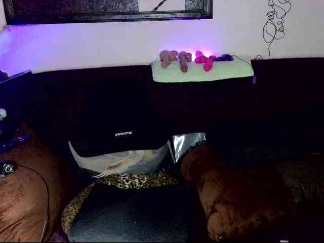 Fantasyca webcam