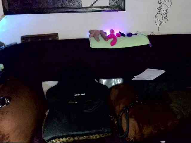 Fantasyca webcam