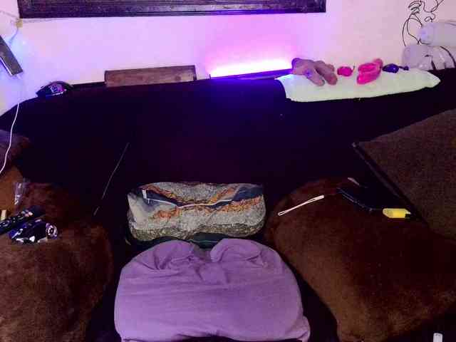 Fantasyca webcam